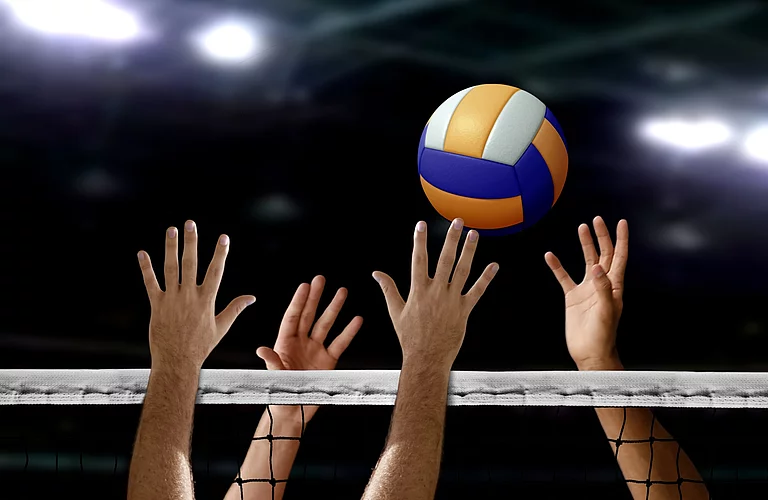 Sektion Volleyball